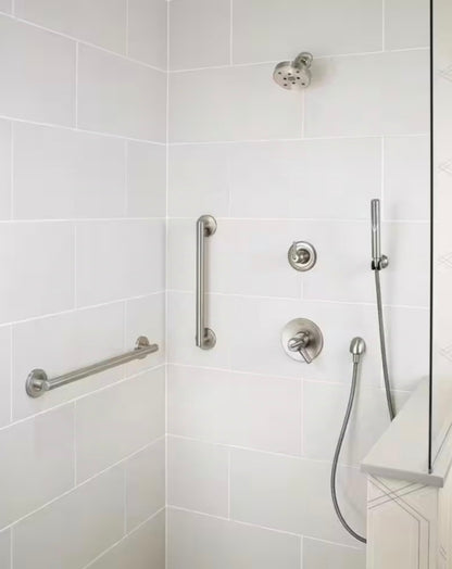 Delta Compel Single-Setting Adjustable Wall Mount Hand Shower with Hose, Stainless Steel