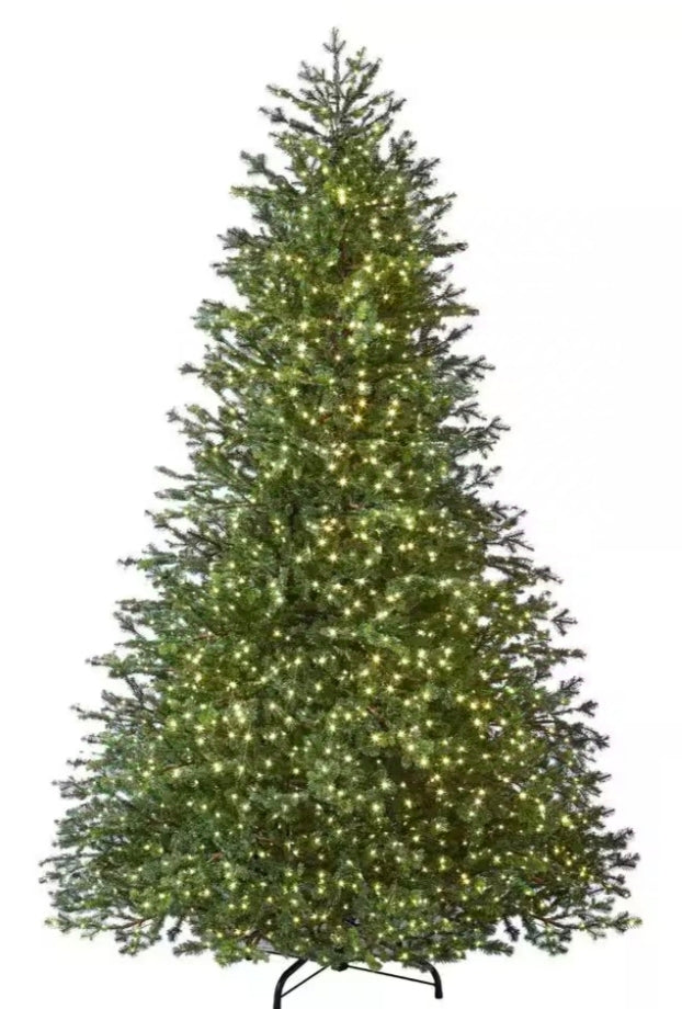 Home Decorators Collection
7.5 ft Elegant Grand Fir LED Pre-Lit Artificial Christmas Tree with Timer with 2000 Warm White Lights